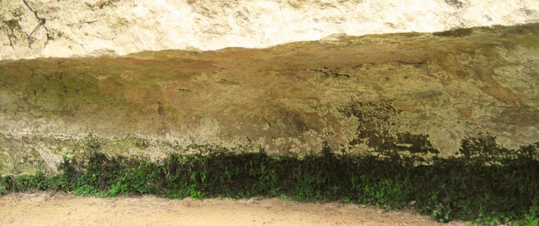Cro Magnon Shelter