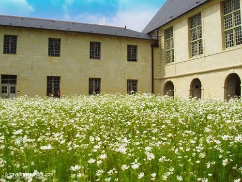 Fontevraud Abbey - Orangerie