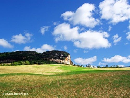Lacaune ewes - Grands Causses in Aveyron