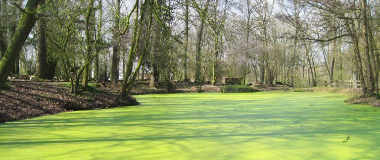 Hooge Crater and Cemetery