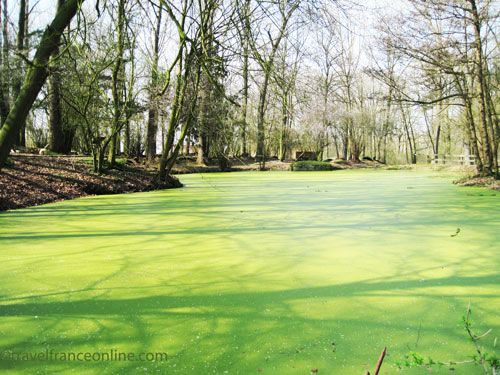 Hooge Crater