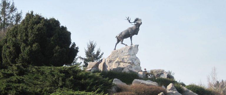 Newfoundland Memorial Park