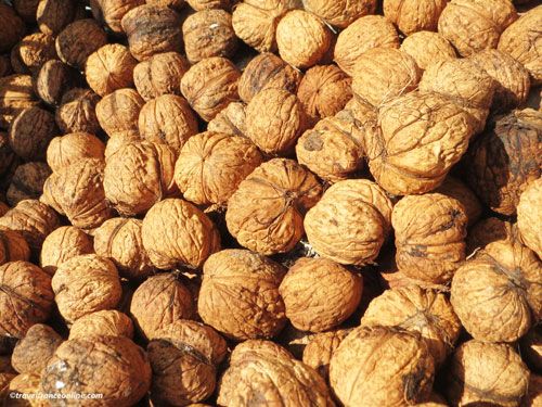 Walnuts from Perigord - Dordogne