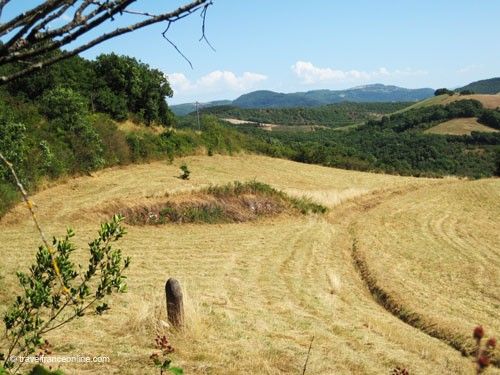 Statues-Menhirs - Aveyron - Statues-Menhirs - Aveyron - in situ