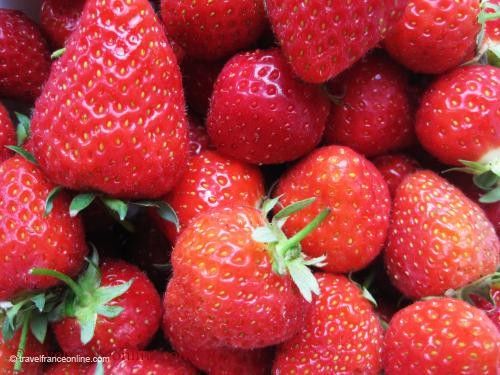 Strawberries from Perigord - Dordogne