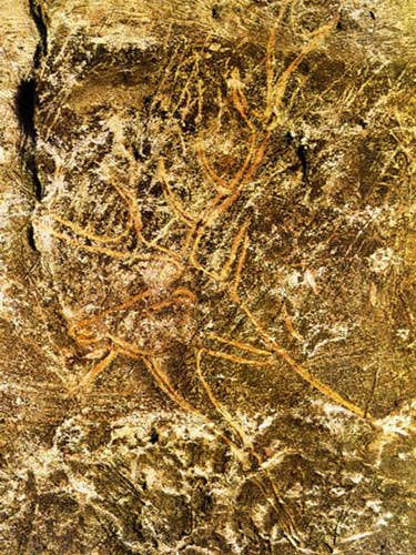 Lascaux Cave abside
