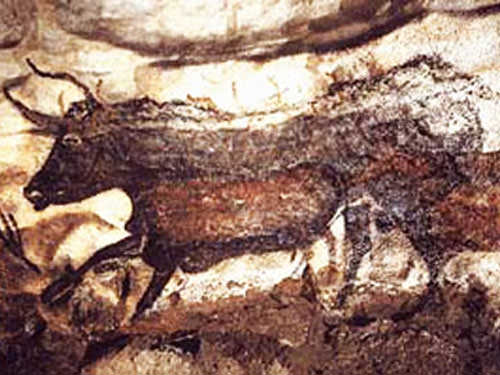 The Black Cow in Lascaux Cave