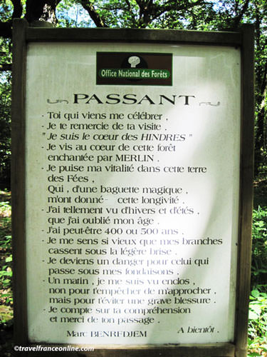 Dedication to the Chene des Hindres in Broceliande