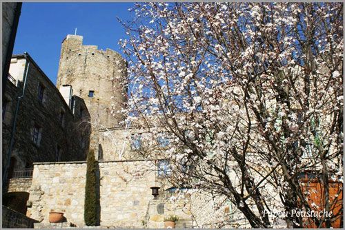 Village and donjon of Montpeyroux