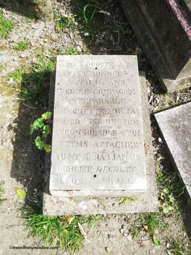 Cimetiere des Chiens - Cocotte's grave