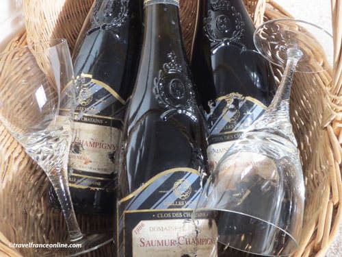 Anjou-Saumur Vineyard - Saumur-Champigny