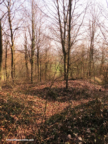 Plateau de Californie - Former trenches and craters