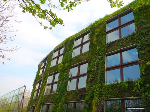 Musée du Quai Branly - Jacques Chirac vertical garden