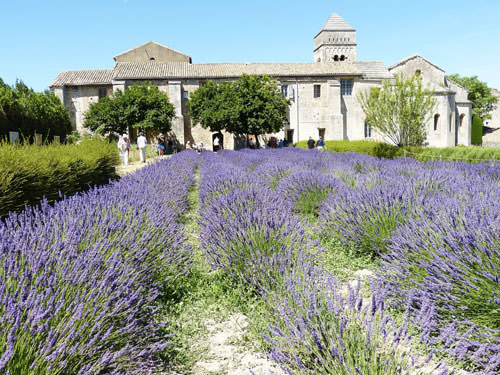 Saint Remy de Provence - Saint-Paul-de-Mausole