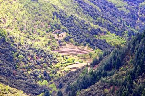 Terraced hillsides in Gorges de la Jonte