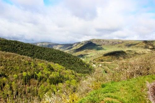 Causse Plateau above the Gorges de la Jonte