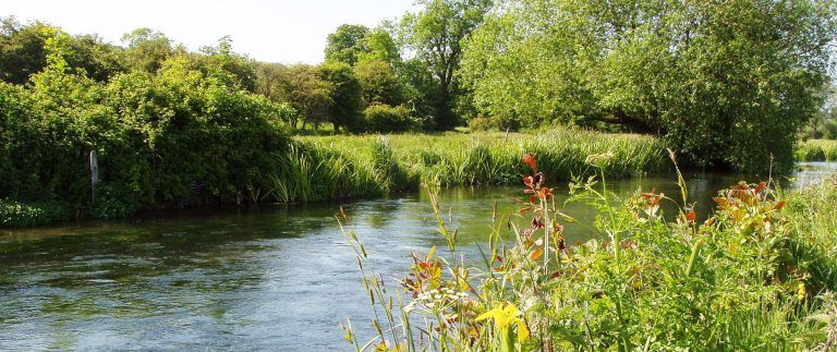 River Bievre