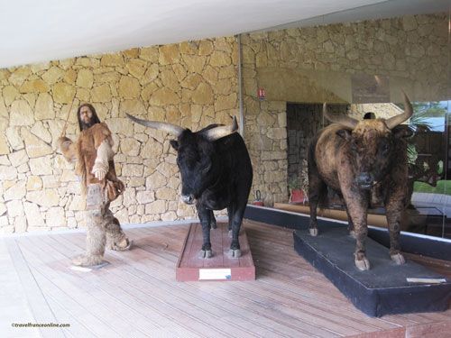 Le Thot - museum