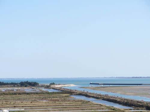 Ile de Noirmoutier - Salt marshes in Noirmoutier-en-l'Ile