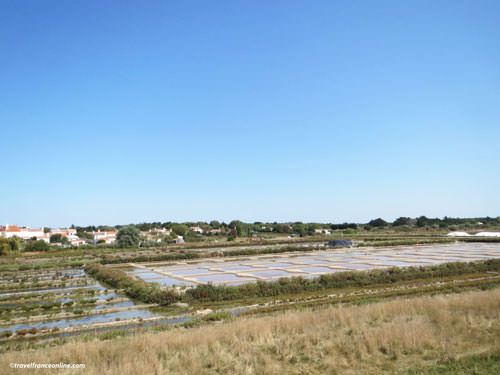 Ile de Noirmoutier - Salt marshes in Noirmoutier-en-l'Ile