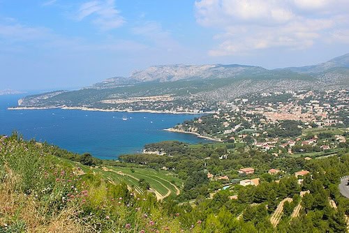 Baie de Cassis and its vineyard