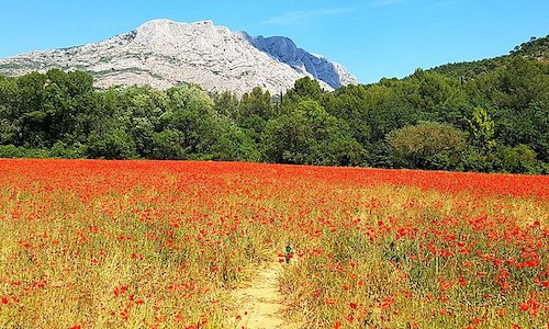 Montagne Sainte-Victoire