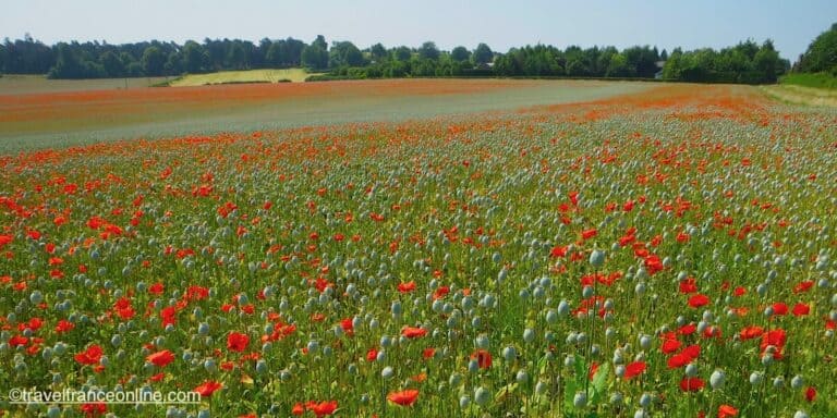 Traveling to the WWI Battlefields from the UK