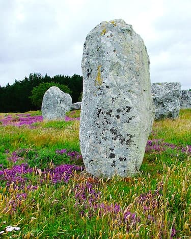 The 982 megaliths of Kermario in Carnac are arranged in ten rows, extending over a distance of approximately 1.3 kilometers