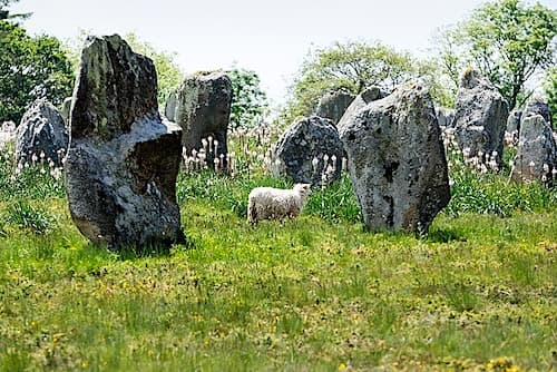The 982 megaliths of Kermario in Carnac are arranged in ten rows, extending over a distance of approximately 1.3 kilometers