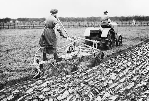 Women working in agriculture during the Great War