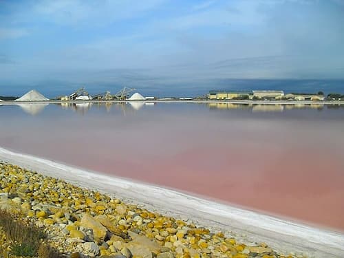 Salins d'Aigues Mortes