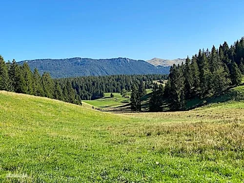 Les Hautes Combes