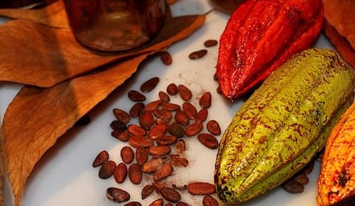 Cocoa Beans