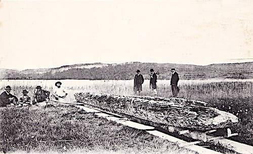 Discovery of the pirogue in 1904