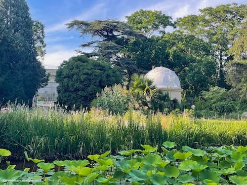 Montpellier Jardin des Plantes - botanical garden with greenhouse in the background