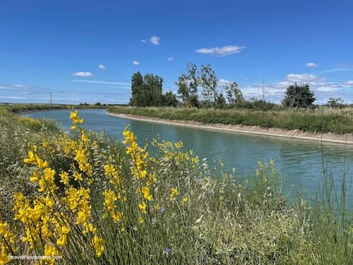 Petite Camargue - Canal du Bas Rhône - Languedoc