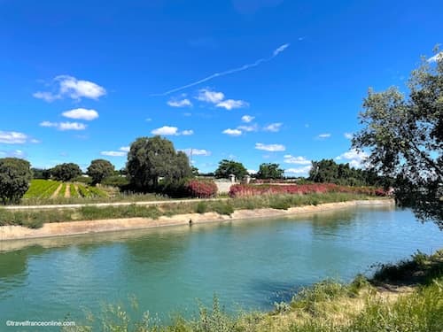 Petite Camargue - Vineyard along the Canal du Bas Rhône - Languedoc